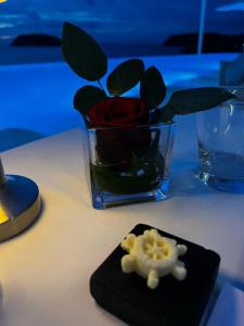 Kata Rocks - SHA Extra Plus - 57