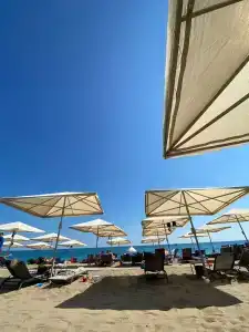 Paloma Finesse Side - 23