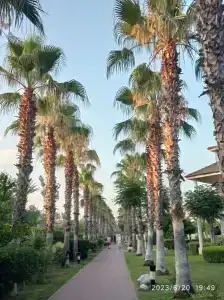 Sunis Elita Beach Resort & SPA - 30