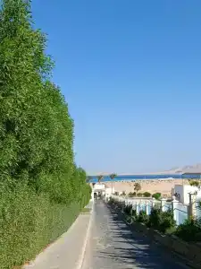 Ivy Cyrene Sharm Resort Adults Friendly Plus 13 - 76