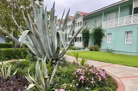 Euphoria Palm Beach Resort - 24