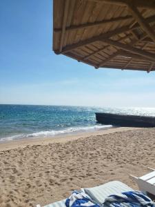 Palm Beach Resort Families and Couples only - 87