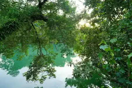 Aana Resort & Spa - 86