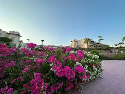 Concorde El Salam Sharm El Sheikh Sport - 96