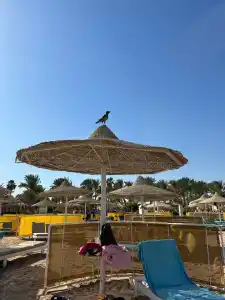 Labranda Royal Makadi - 63