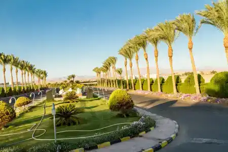 Cleopatra Luxury Resort Makadi Bay (Adults Only) - 31