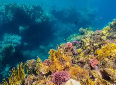 Sataya Resort Marsa Alam - 14