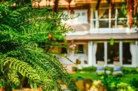 Banyan House Samui bed and breakfast (Adult Only) - 13