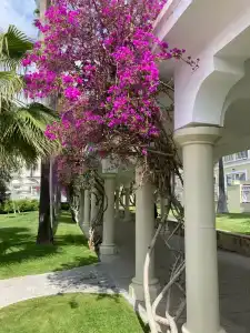 Swandors & Resorts - Topkapi Palace - 39