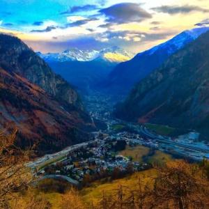 La Grange - Animal Chic - 5