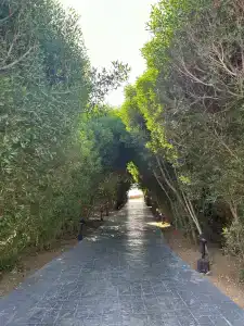 Park Regency Sharm El Sheikh Resort - 53