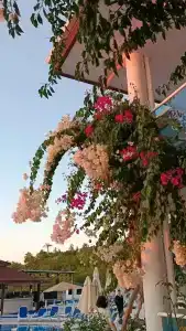 Garcia Resort & Spa - Ultra All Inclusive - 46