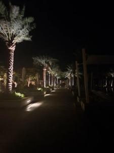 Park Hyatt Abu Dhabi and Villas - 4