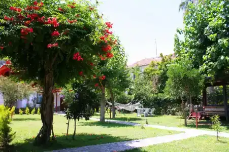 Alican Izba House - 5