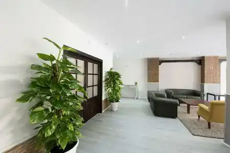 Toboso Chaparil - 37