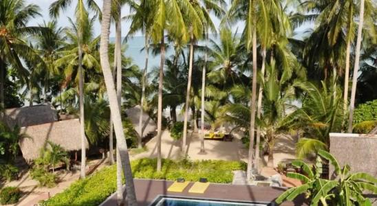 Coconut Beach Resort - 53