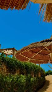 Sunrise Montemare Resort -Grand Select - 75