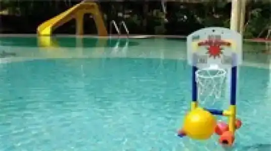 Birds and Bees Resort - 75