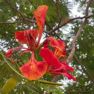 Club Reef Resort & Spa - 66