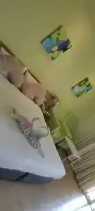 Best Bella Pattaya - 60