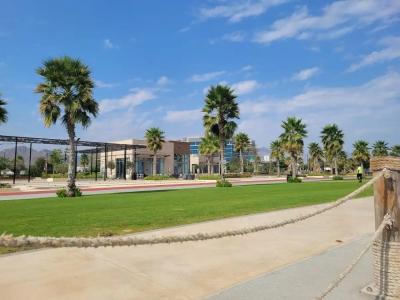 Clifton International - 24