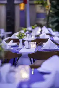 May Flower Apart - 25