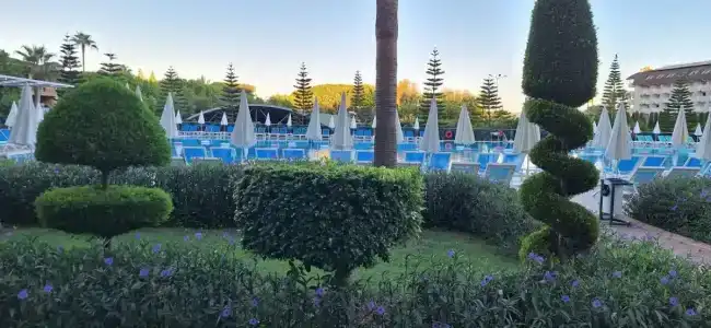 Lonicera World - Ultra All Inclusive - 1