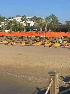 Kaya Palazzo Golf Resort - 41