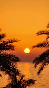 Occidental Sharjah Grand - 95