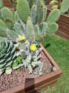 Arum Barut Collection - Ultra All Inclusive - 72