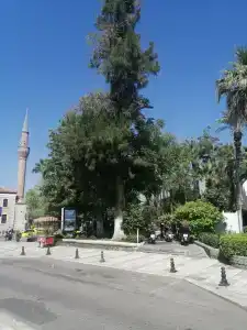 Mandarin Resort & Spa - 85