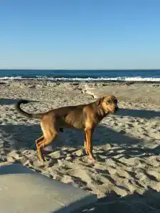 Saritas ONLY FAMILY CONCEPT - 90