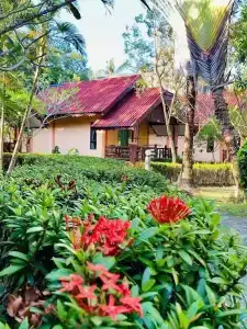 Kaibae Hut Resort - 81