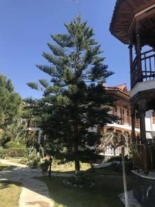 Asur & Aparts & Villas - 17