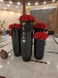 Hurghada Long Beach Resort - 88