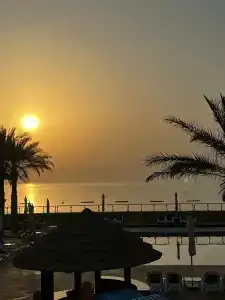 Oceanic Khorfakkan Resort & Spa - 11