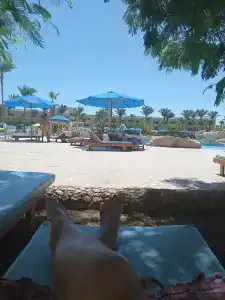 Amwaj Oyoun Resort & Casino - 68