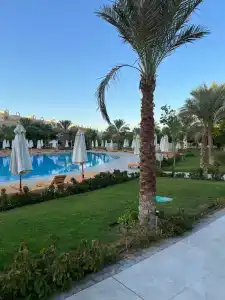 Three Corners Sunny Beach Resort - 10