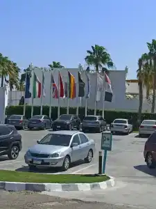 Sunrise Remal Beach Resort - 14