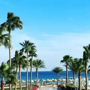 Baron Palms Adults Friendly Only 16 years plus Boutique Style - 14