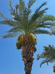 Transatlantik & Spa - 82