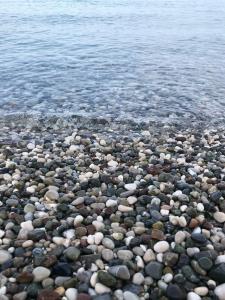 Viking Nona Beach - 54