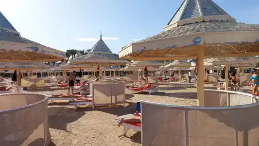 The Grand Resort - 13
