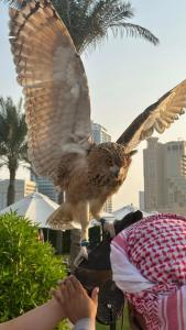 Ajman Saray, a Luxury Collection Resort, Ajman - 28