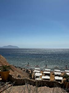 Domina Coral Bay Resort, Diving , Spa & Casino - 57