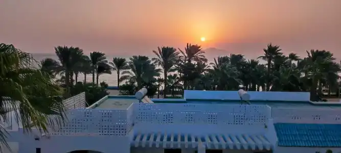 Sultan Gardens Resort - 81