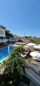 Sunny Hill Alya - 65