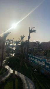 Le Pacha Resort - 11