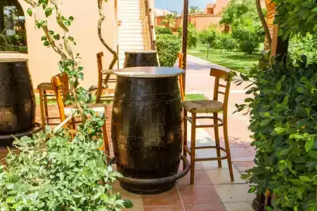 Jaz Makadi Saraya Palms - 42