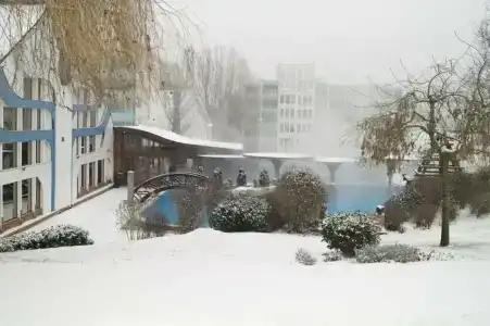 NaturMed Carbona - 8